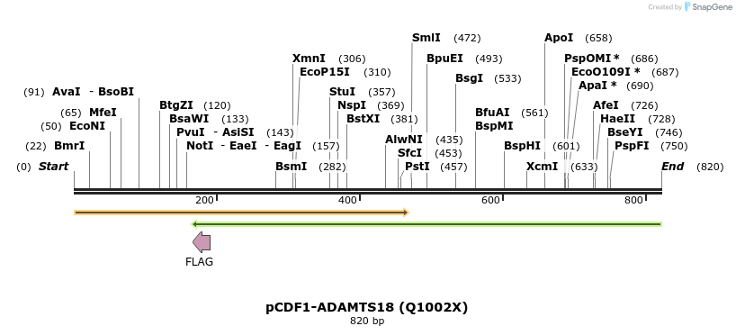 35796_map
