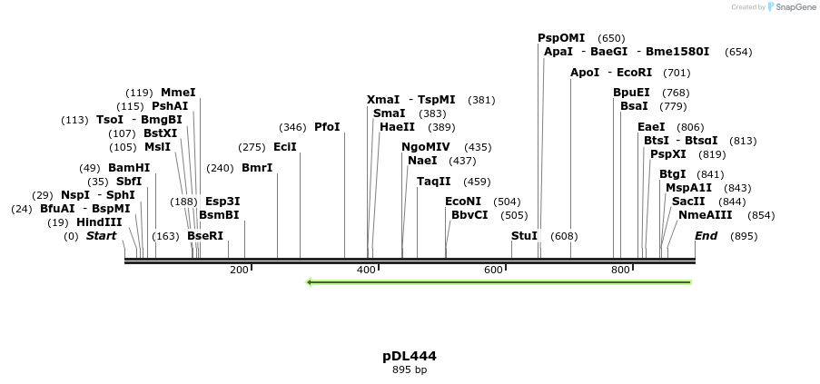 35802_map