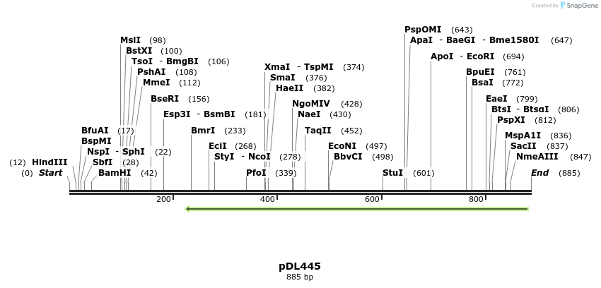 35803_map