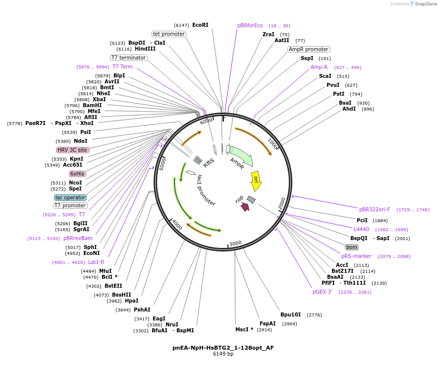 358049_map
