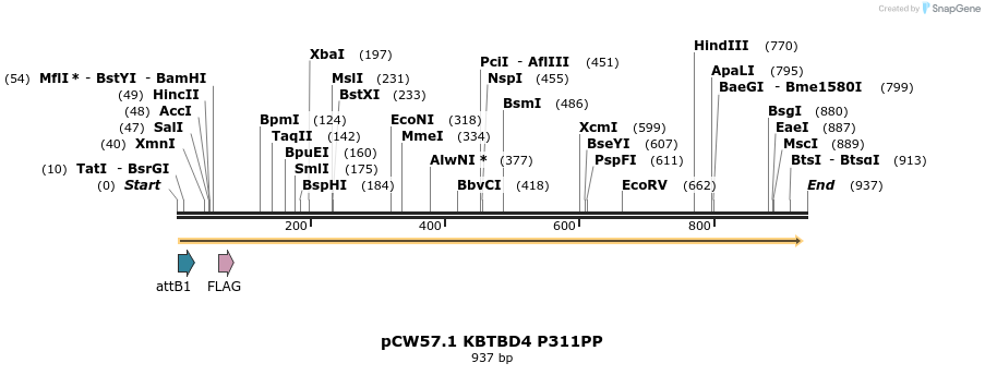 358117_map