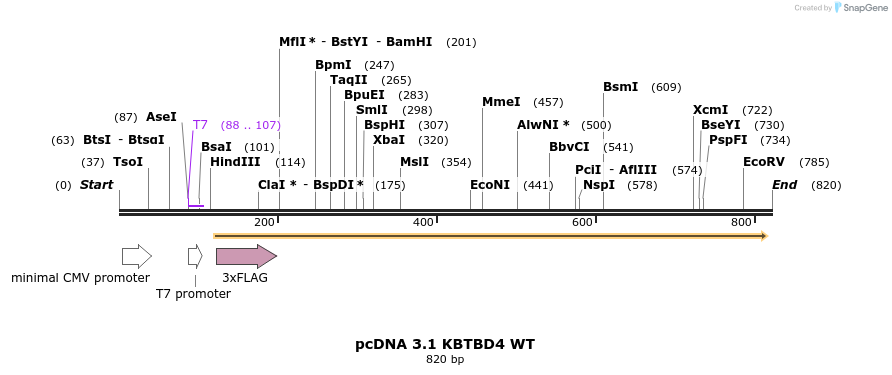 358120_map