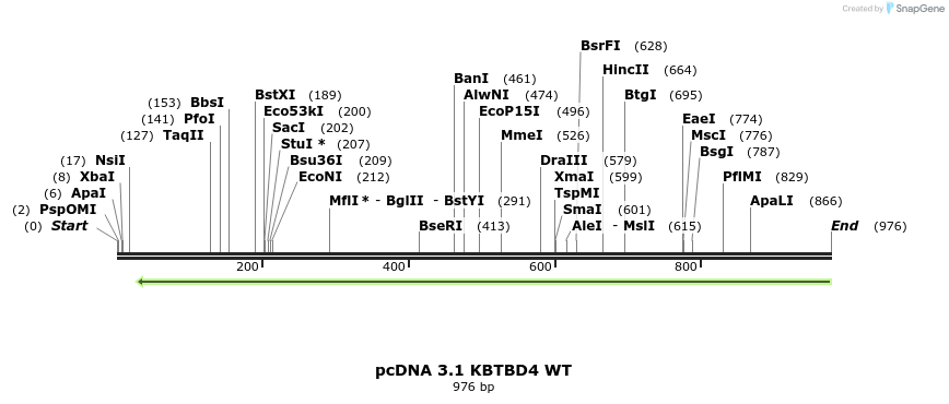 358121_map