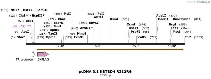 358126_map