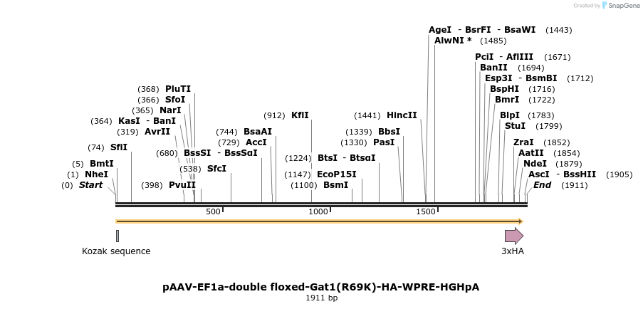 358151_map