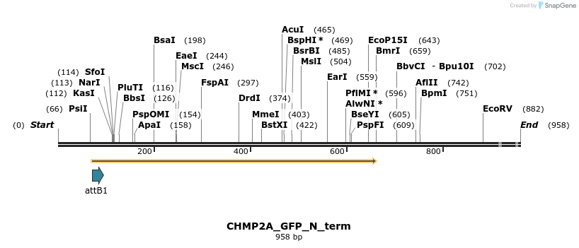 35816_map
