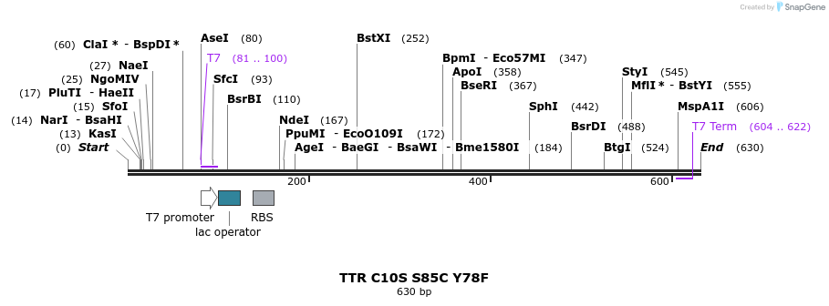 358345_map