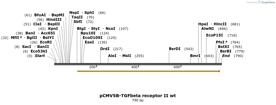 35836_map