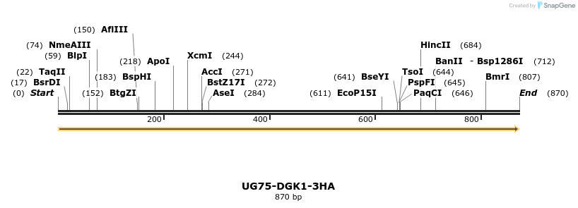 358435_map