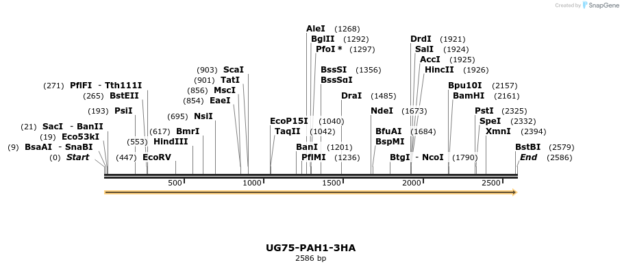 358441_map