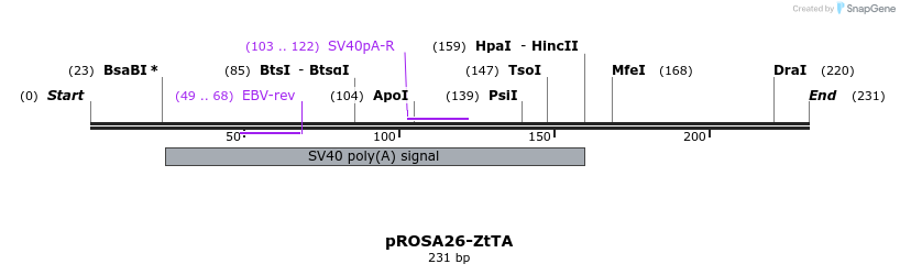 35846_map