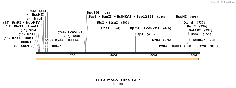 358597_map
