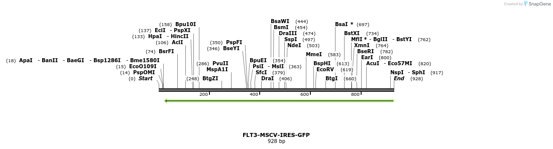358598_map