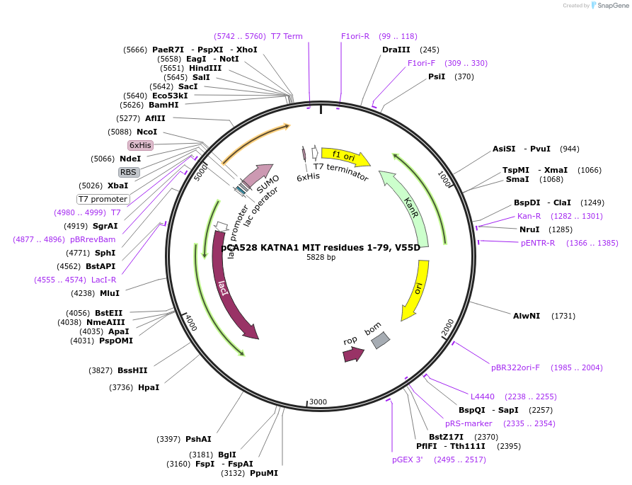 358616_map
