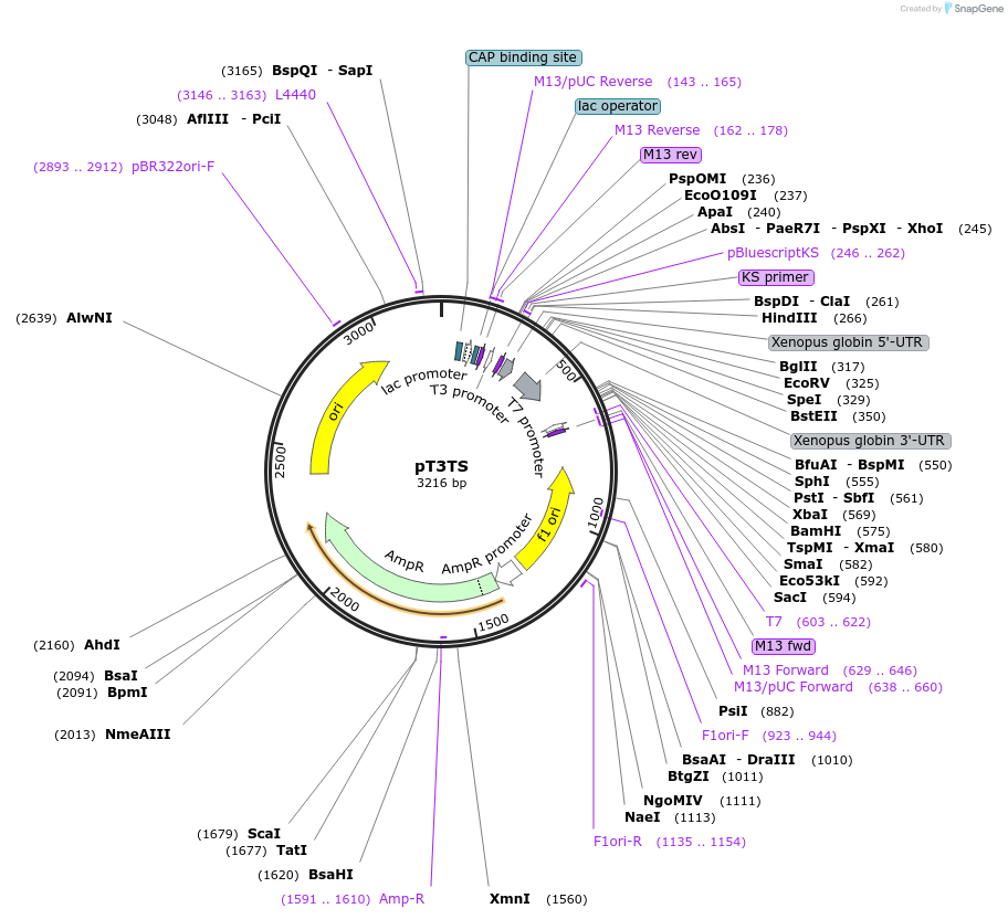 35865_map