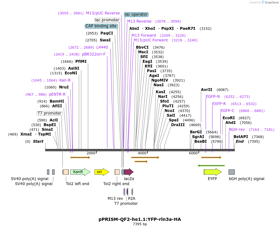 358680_map