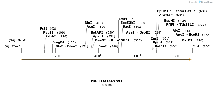 35873_map