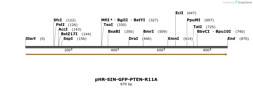35874_map