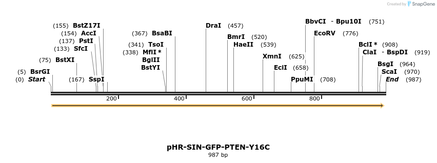 35875_map