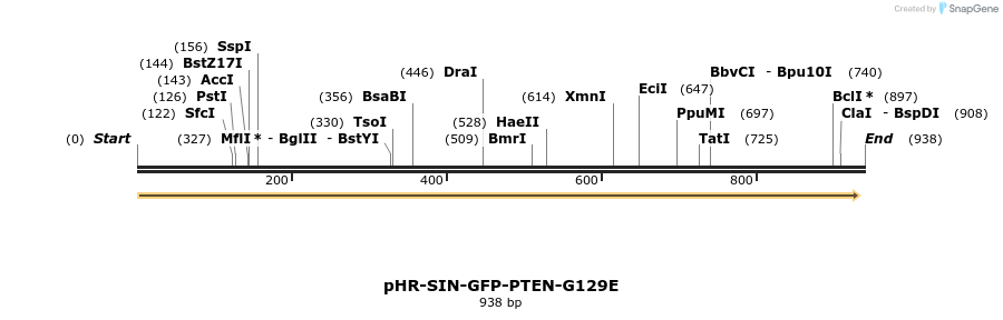 35878_map