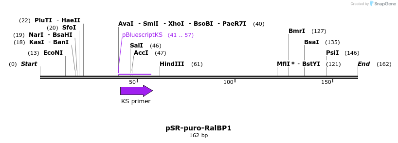 35879_map