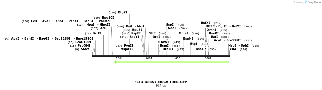 358861_map