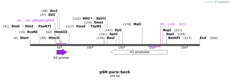 35889_map