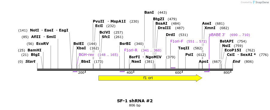 35896_map