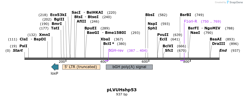 35898_map