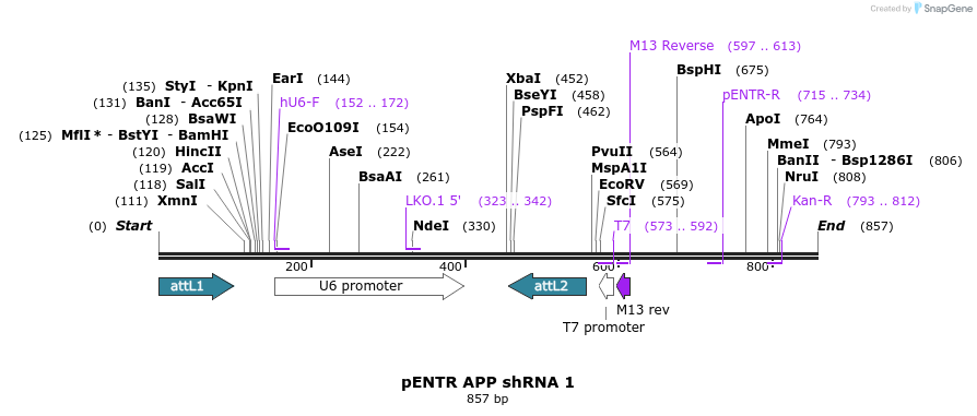 35899_map