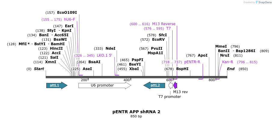 35900_map