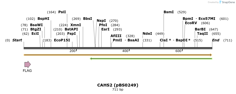 359006_map