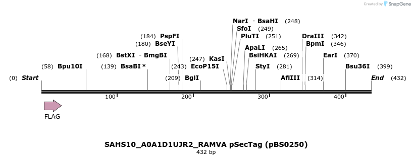 359008_map