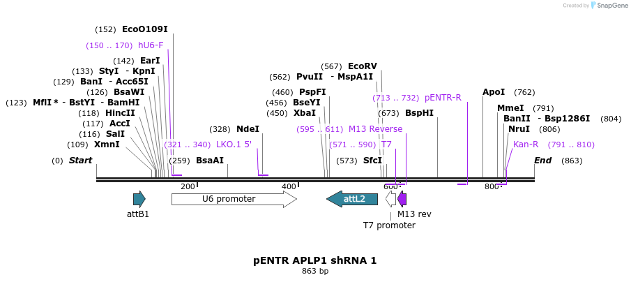 35901_map