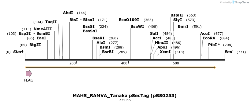 359012_map