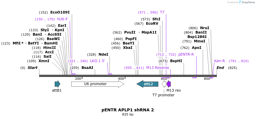 35902_map