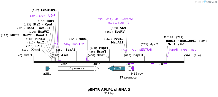35903_map