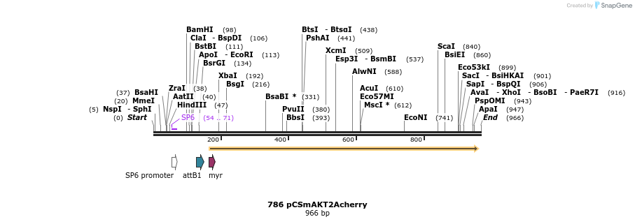 35904_map