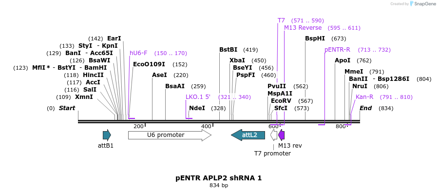 35905_map