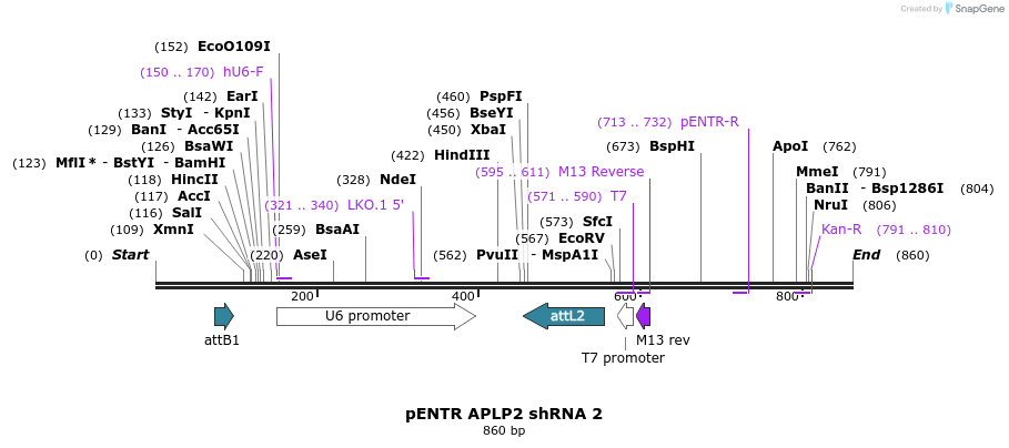 35906_map