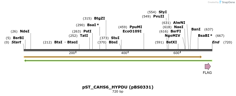 359084_map