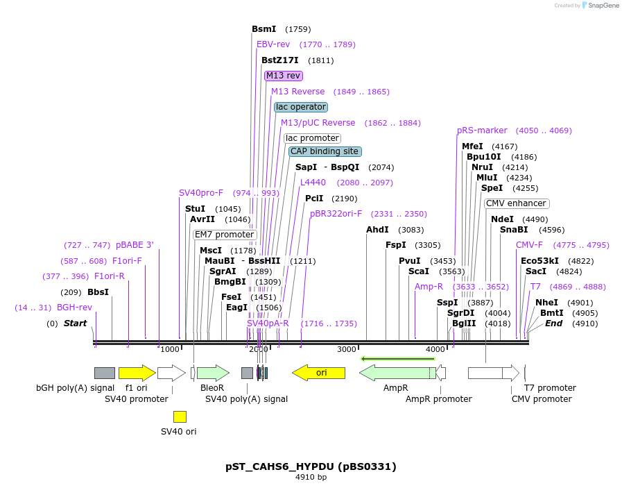 359085_map
