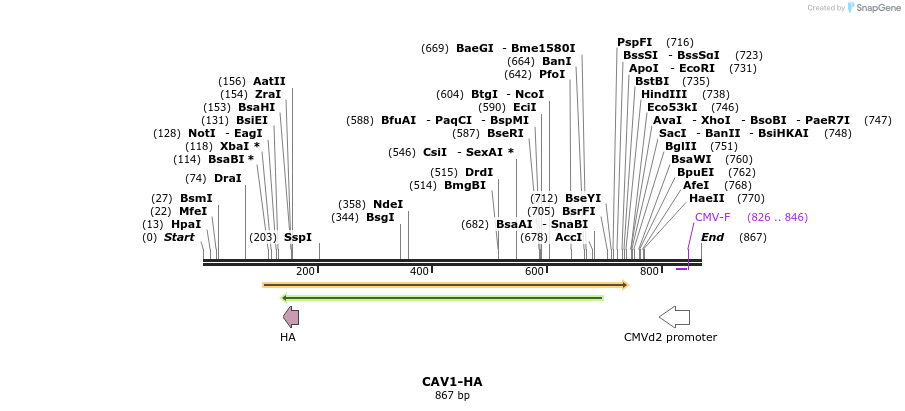 35910_map