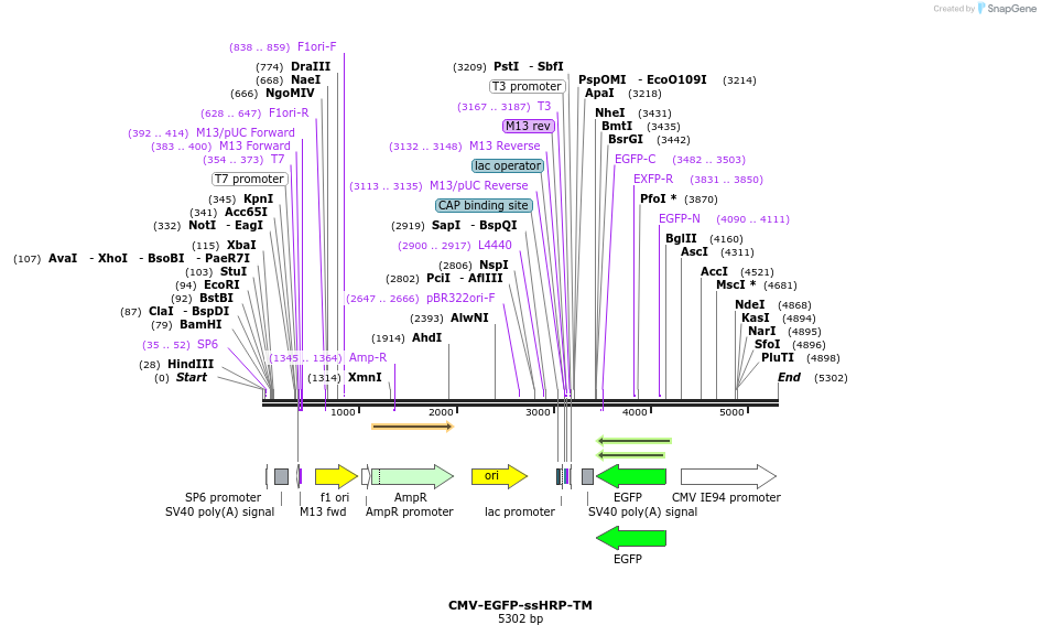35916_map