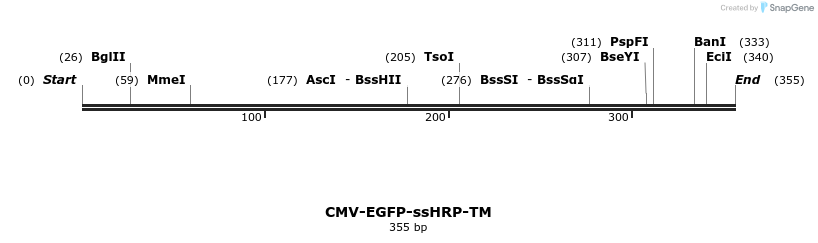 35921_map