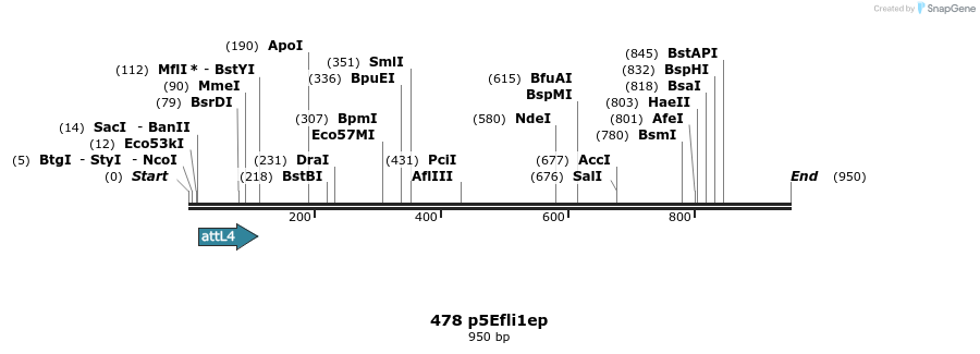 35928_map