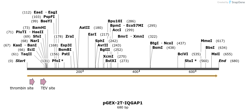 35931_map