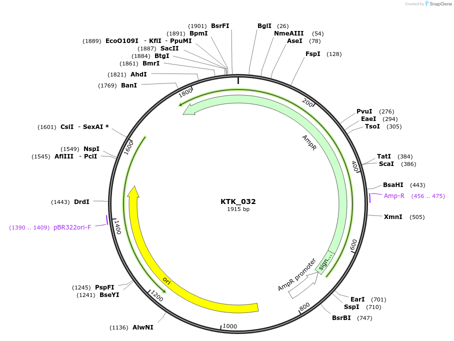 180528-plasmid-map-sequence-id-359433