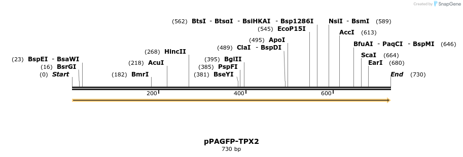 35944_map