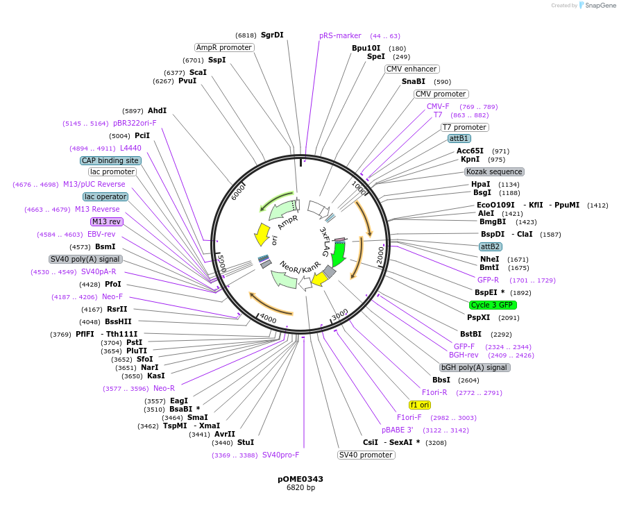 359453_map